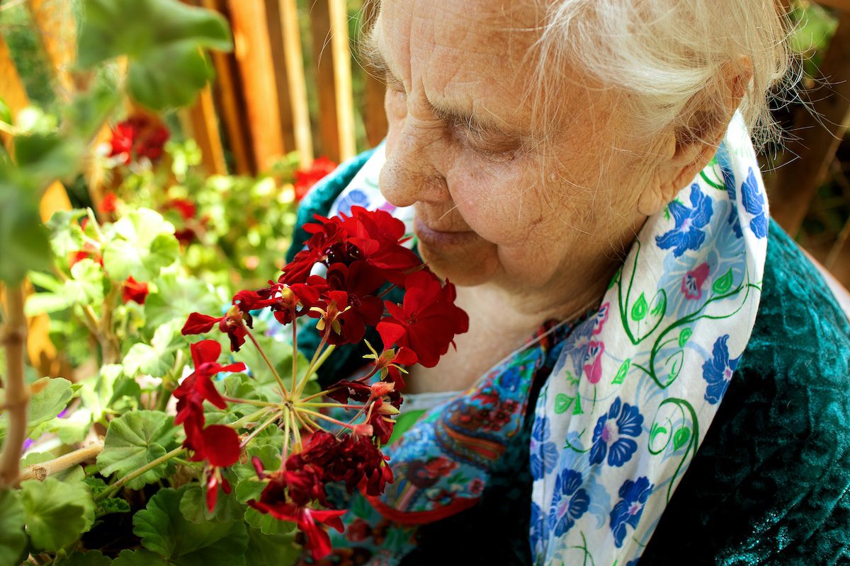 Hospice Care in Springfield - Seasons Hospice MO | End of Life Care | Springfield, MO Springfield Hospice Care